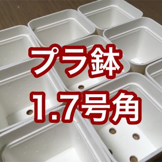 多肉植物に！プラ鉢 白 角1.7号 10個 新品未使用♬［2072248］(プランター)