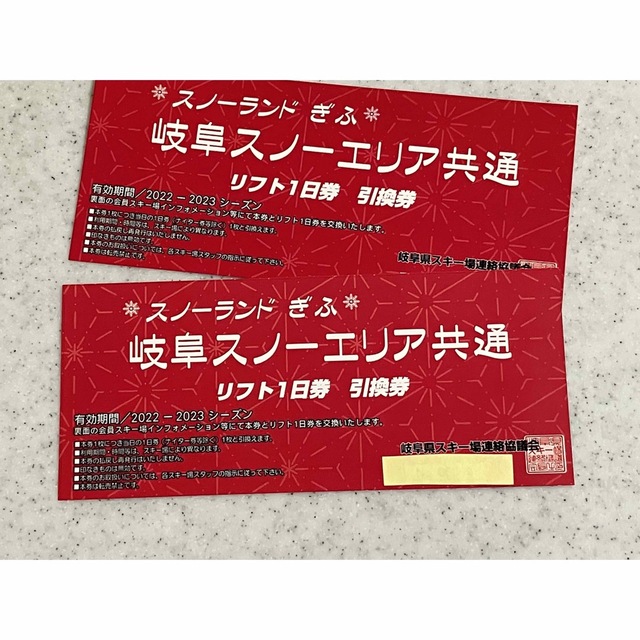 高鷲スノーパーク、ダイナランド、めいほうスキー場 一日券引換券 2枚1 ...