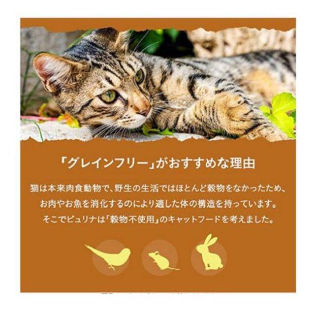 Nestle(ネスレ)のネスレ ピュリナワン グレインフリー 白身魚 1歳~ 1.6kg 6袋 その他のペット用品(猫)の商品写真