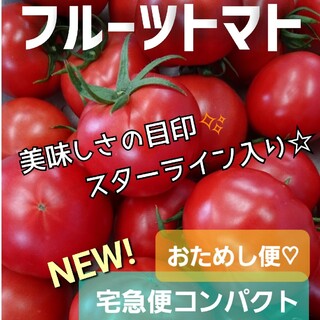 福岡県産 フルーツトマト 550g 農家直送 お値下げ価格 新鮮野菜 産地直送