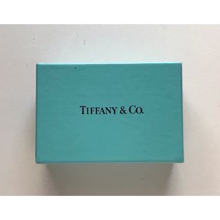 Tiffany エナメル ブルー インフィニティ ダブルチェーンネックレス