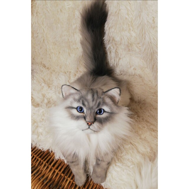 優先配送 アートドール ラグドール 猫 ぬいぐるみ 作家 リアル ねこ