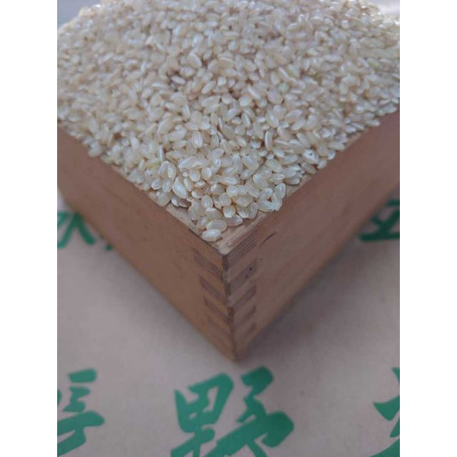 令和３年産　長野コシヒカリ玄米 30㎏米/穀物