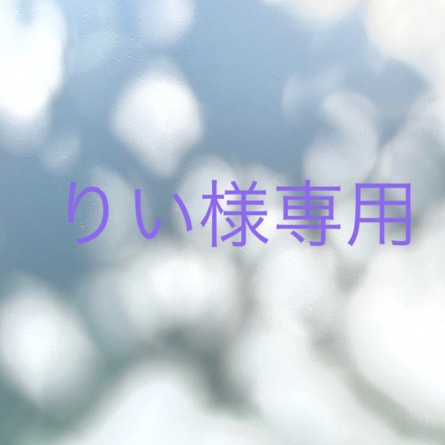 りい様専用 その他のその他(その他)の商品写真
