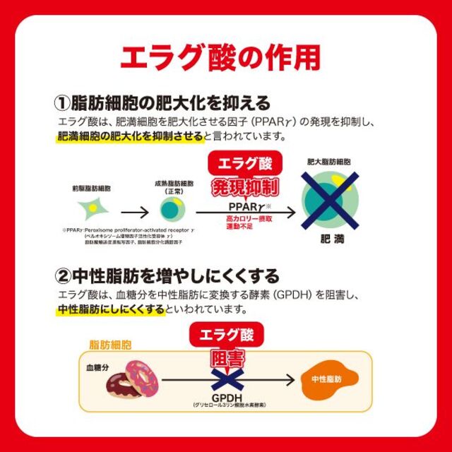 DHC(ディーエイチシー)の【みぃ1965様専用】DHC ウエスト気になる 20日分 1袋 コスメ/美容のダイエット(ダイエット食品)の商品写真