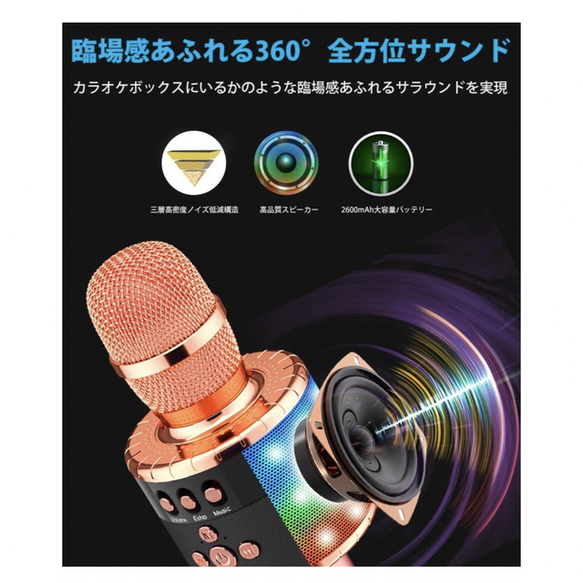 Verkstar マイク カラオケ 楽器のレコーディング/PA機器(マイク)の商品写真