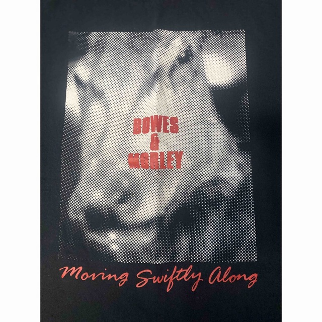 激レア　Bowes & Morley  Tシャツ　ヴィンテージ　サイズL