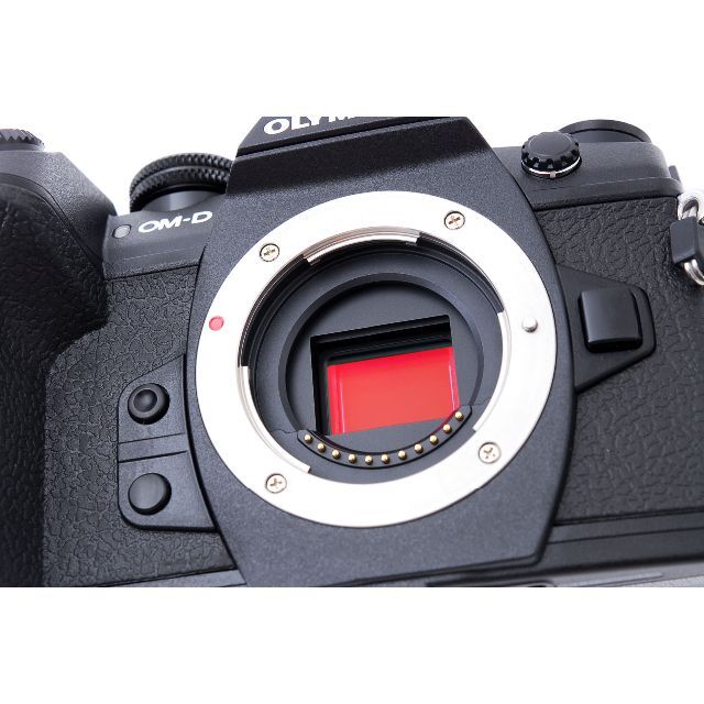 ほぼ新品】OLYMPUS OM-D E-M1 Mark 2 ショット数218回 www.mindel.gob.sv
