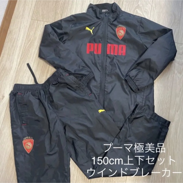 PUMA ウインドブレーカー 上下セットアップ ジャージ ピステ 150 | フリマアプリ ラクマ