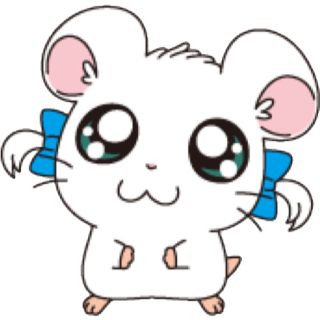 専用出品(その他)