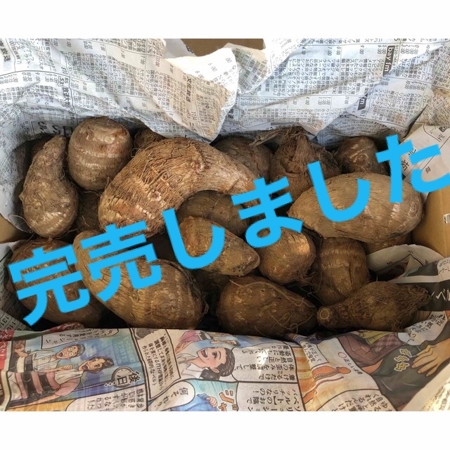 茨城県産　里芋　農薬不使用　80サイズ　箱込み5㎏ 食品/飲料/酒の食品(野菜)の商品写真