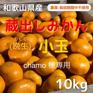 chamo様専用 小玉普通10kg 蔵出しみかん 和歌山県産 農薬不使用(フルーツ)