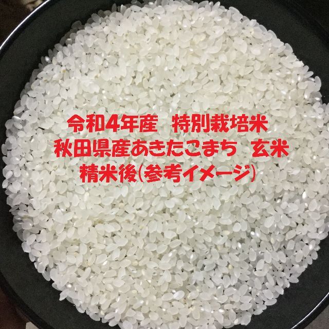 令和4年産　精米無料　特別栽培米　秋田県産あきたこまち(検査1等米)玄米20kg　米/穀物