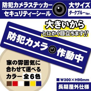 【防犯カメラ作動中ステッカー・大／ブルー横Ver.】 セキュリティーシール(防犯カメラ)