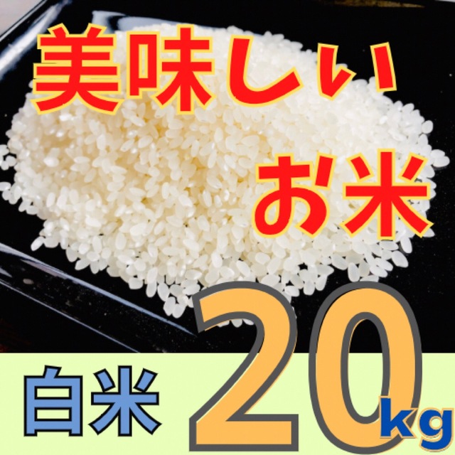 美味しいお米　生活応援米　米/穀物　20kg　白米