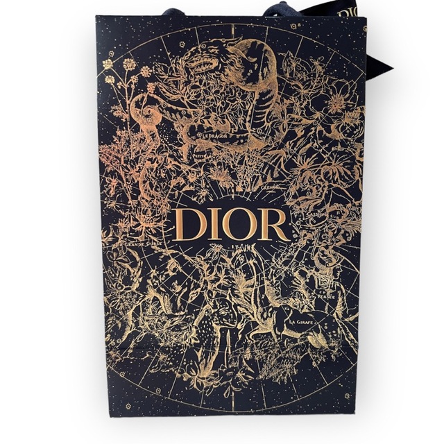 Christian Dior(クリスチャンディオール)のChristianDior クリスチャンディオール　ショッピングバッグ　紙袋 レディースのバッグ(ショップ袋)の商品写真