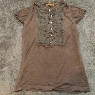 ボールジィ(Ballsey)の茶色　半袖　シルク　ティシャツ(Tシャツ/カットソー(半袖/袖なし))