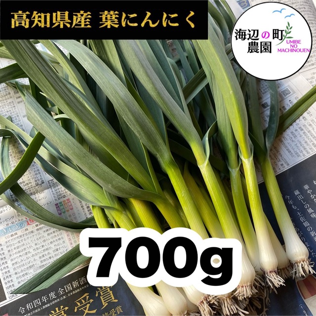 高知県産【高級食材♪葉ニンニク】700g 産地直送！即購入OKです。T 食品/飲料/酒の食品(野菜)の商品写真