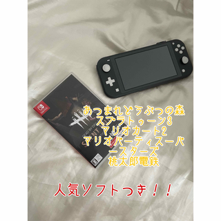 ニンテンドースイッチ(Nintendo Switch)のSwitchライト ソフト付き(携帯用ゲーム機本体)