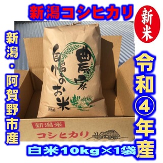 新米・令和4年産新潟コシヒカリ　クラフト米袋入り　白米10kg×1個★農家直送★(米/穀物)