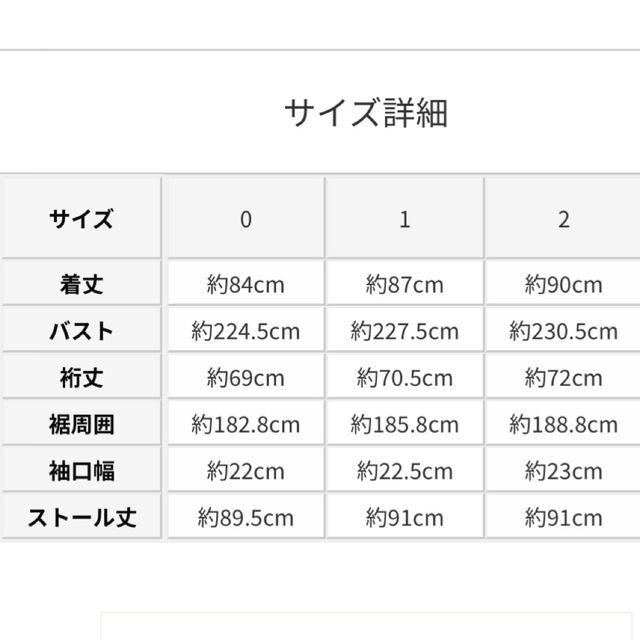 公式の店舗 完売品! Rカラーレスジャケット STUNNING LURE スタニング
