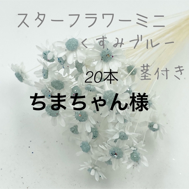 スターフラワーミニ  くすみピンク くすみブルー  ヒマワリ  各20本 ハンドメイドの素材/材料(各種パーツ)の商品写真