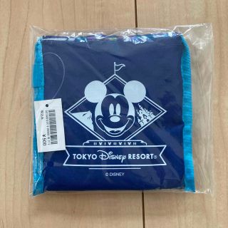 ディズニー(Disney)の【新品】【匿名配送】ディズニーリゾート限定　エコバッグ(エコバッグ)