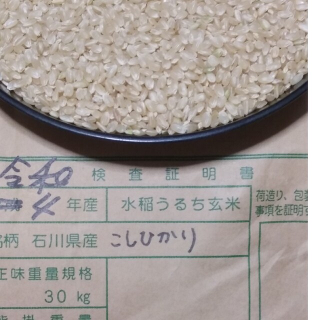 食品/飲料/酒コシヒカリ　玄米３０kg