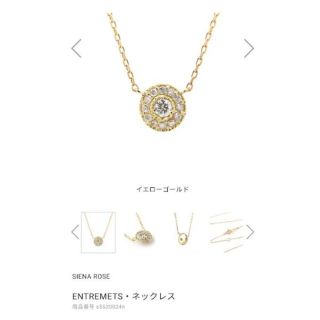 SIENA ROSE - シエナロゼ K18 ダイヤモンド ネックレス ENTREMETSの