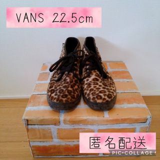 ヴァンズ(VANS)のVANS チャッカ　レオパード　スニーカー　22.5cm(スニーカー)