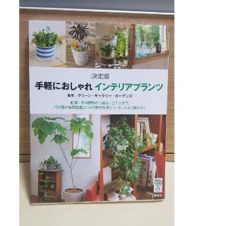 手軽におしゃれインテリアプランツ 観葉・多肉植物から盆栽・コケ玉まで、１０４種の(趣味/スポーツ/実用)