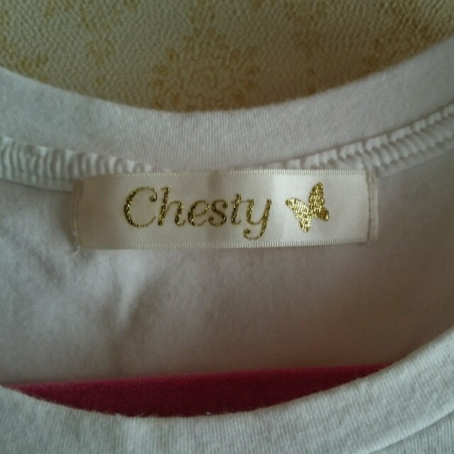 Chesty(チェスティ)の『チェスティ』フリルボーダーTシャツ レディースのトップス(Tシャツ(半袖/袖なし))の商品写真