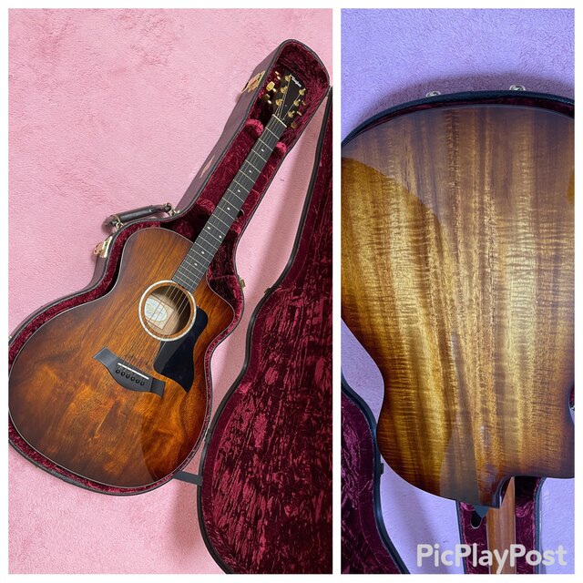 バリトラ杢目】Taylor 224ce DLX koa 【売り切り御免！】 xn