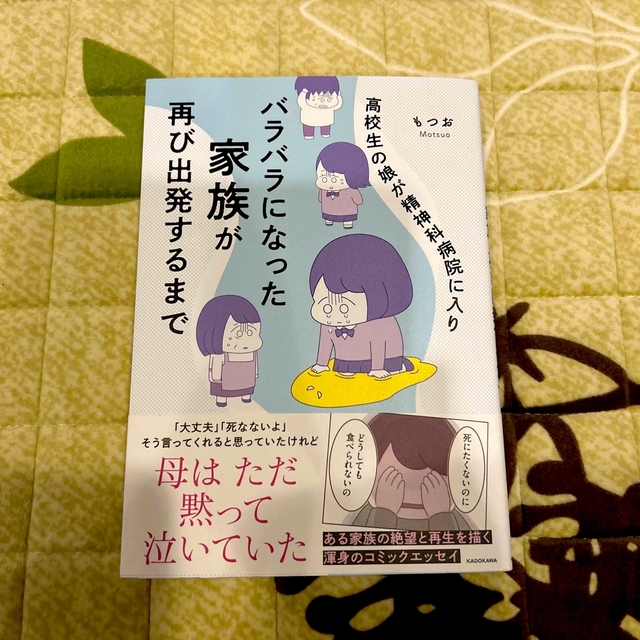 高校生の娘が精神科病院に入りバラバラになった家族が再び出発するまで エンタメ/ホビーの本(人文/社会)の商品写真