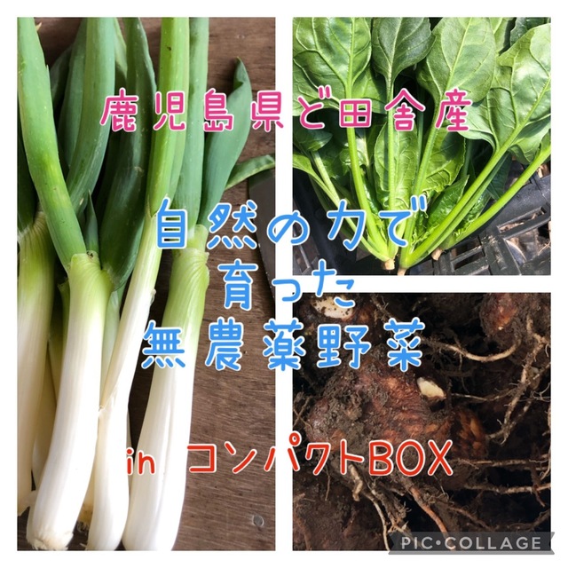 鹿児島県ど田舎産 無農薬野菜詰め合わせ♪コンパクトBOX 食品/飲料/酒の食品(野菜)の商品写真