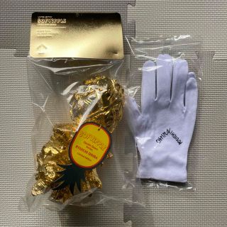 大平龍一 SOFVIPPLE Saint Gold 金 ED25(彫刻/オブジェ)