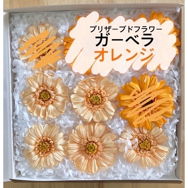 ガーベラ オレンジ　5輪 　プリザーブドフラワー花材　 ハンドメイドのフラワー/ガーデン(プリザーブドフラワー)の商品写真