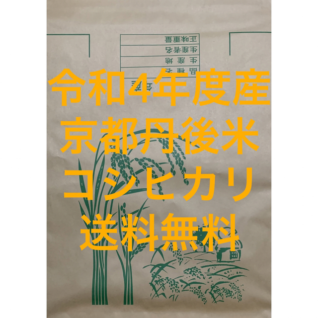 新米玄米 30kg 京都 丹後 米 コシヒカリ 送料無料