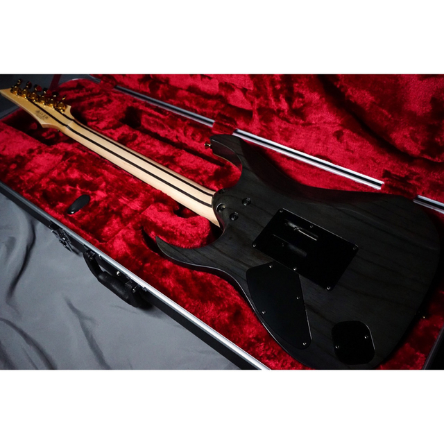 Ibanez(アイバニーズ)のIbanez RG8020G スポットモデル 楽器のギター(エレキギター)の商品写真