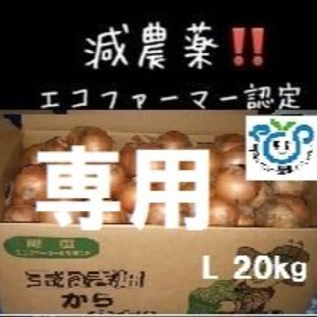  RASUKARU様 ご依頼分 北海道産 玉ねぎ 20kg Lサイズ 食品/飲料/酒の食品(野菜)の商品写真