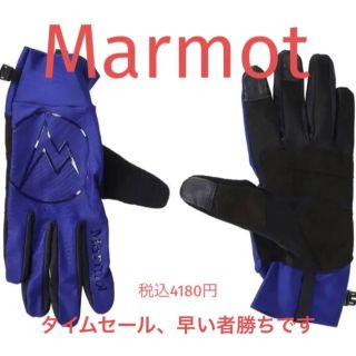 マーモット(MARMOT)のマーモット　秋冬最新モデル、トレッキングglobe(登山用品)