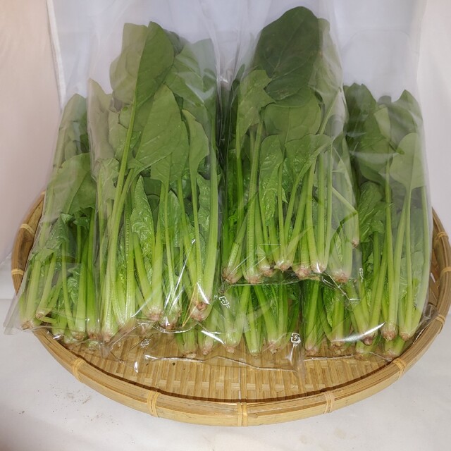 Chichi様専用茨城産規格外ほうれん草4kgの通販 by アサシン農園's shop