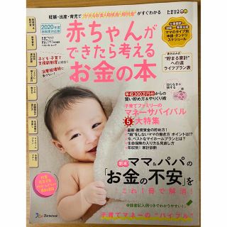 ベネッセ(Benesse)の赤ちゃんができたら考えるお金の本 妊娠・出産・育児で“かかるお金＆助成金・給付金(結婚/出産/子育て)