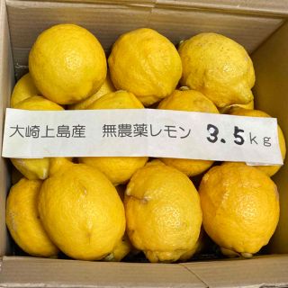 広島県大崎上島産無農薬レモン　3.5kg(フルーツ)