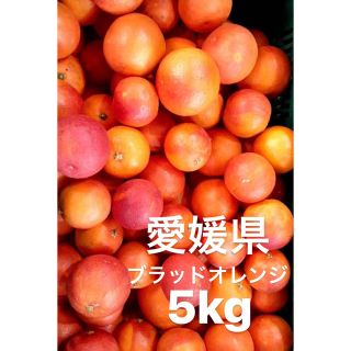 愛媛県産　ブラッドオレンジ　柑橘　5kg(フルーツ)