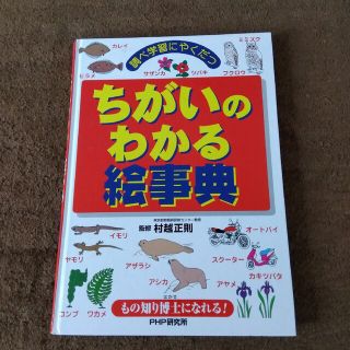 絵辞典　ちがいのわかる(絵本/児童書)