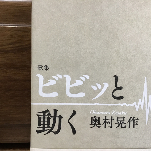 ビビッと動く 歌集 エンタメ/ホビーの本(文学/小説)の商品写真