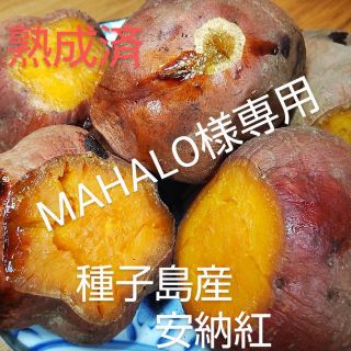 MAHALO様専用(野菜)