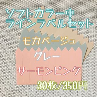 ラインラベル 中 茶・灰・肌 各10枚 園芸ラベル カラーラベル 多肉植物(プランター)