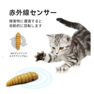 猫　おもちゃ(おもちゃ/ペット小物)